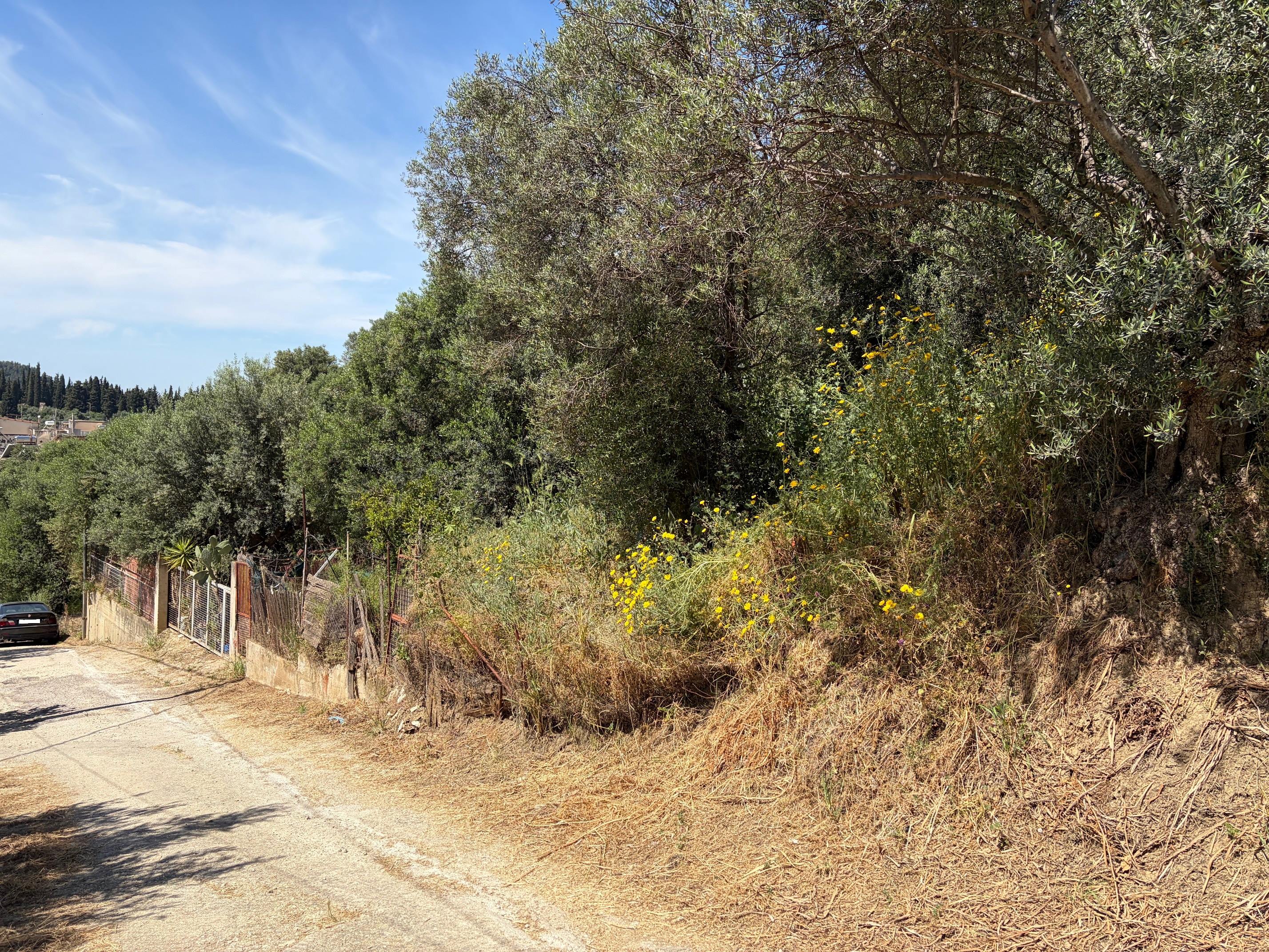 photo13