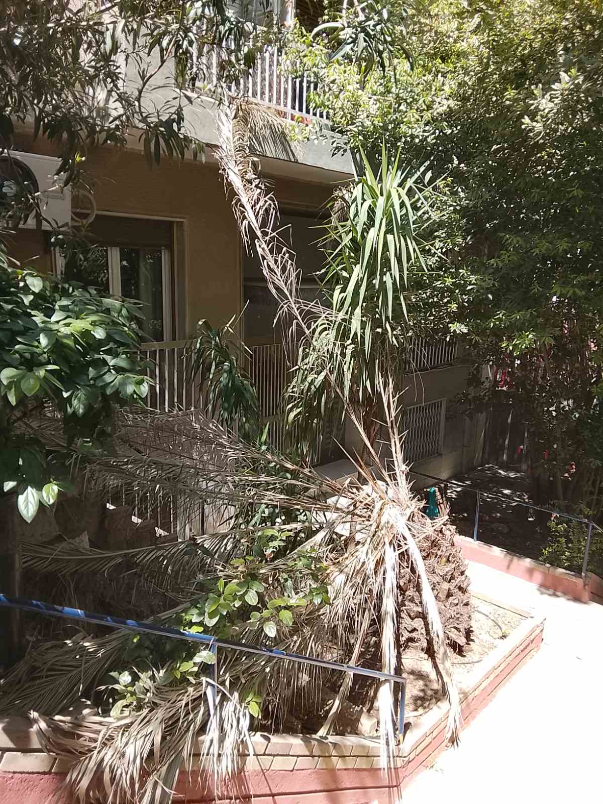 photo1