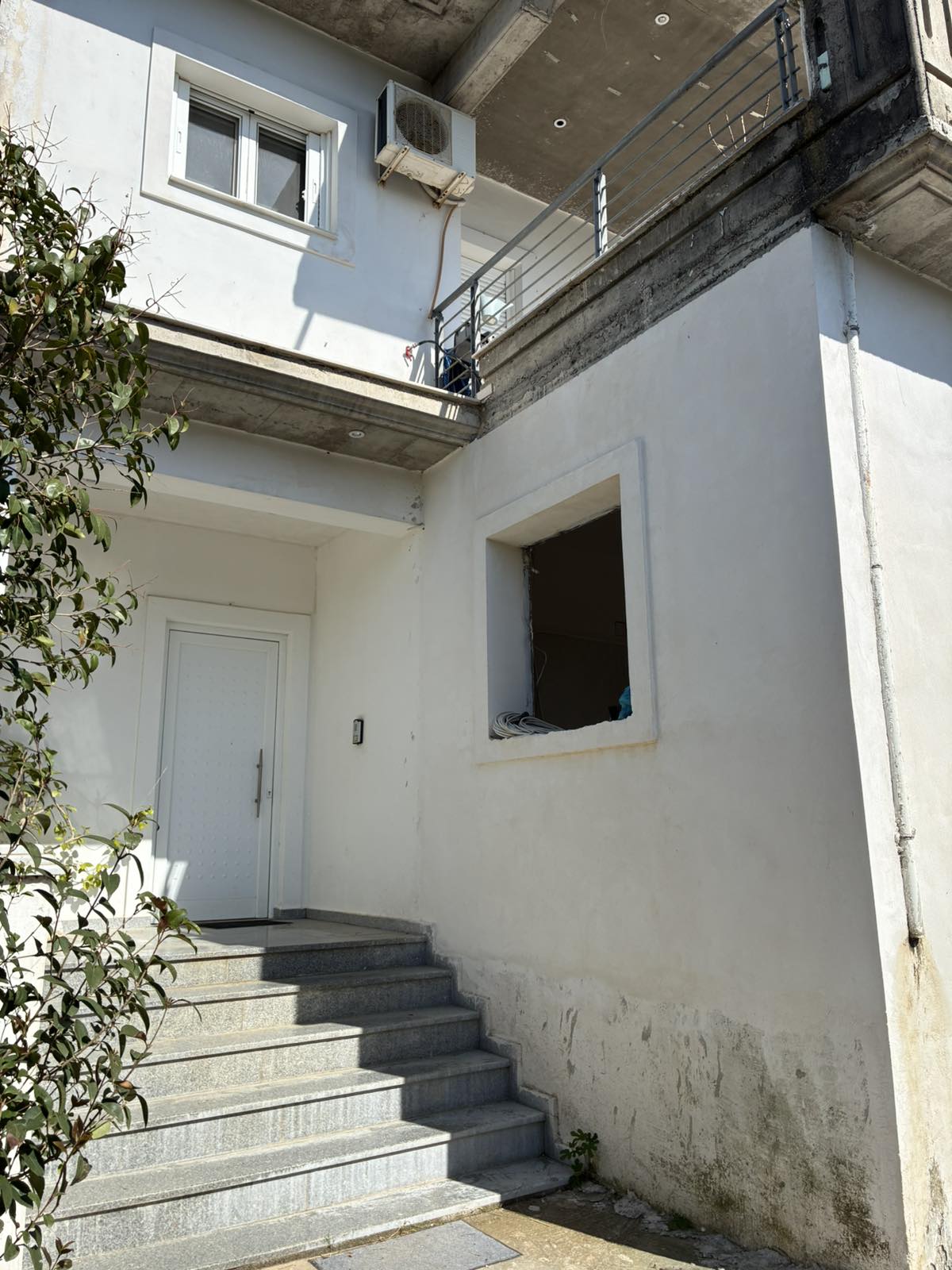 photo5