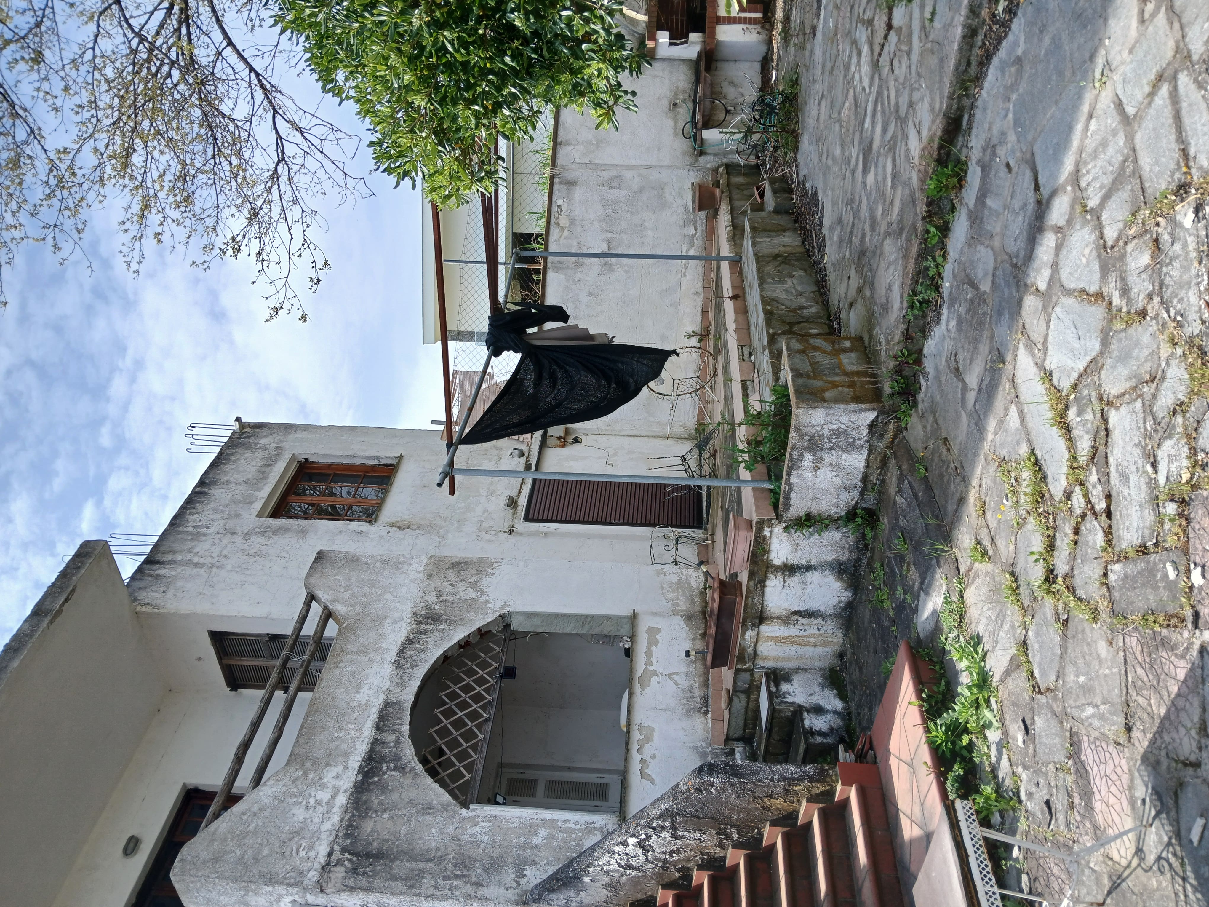 photo1