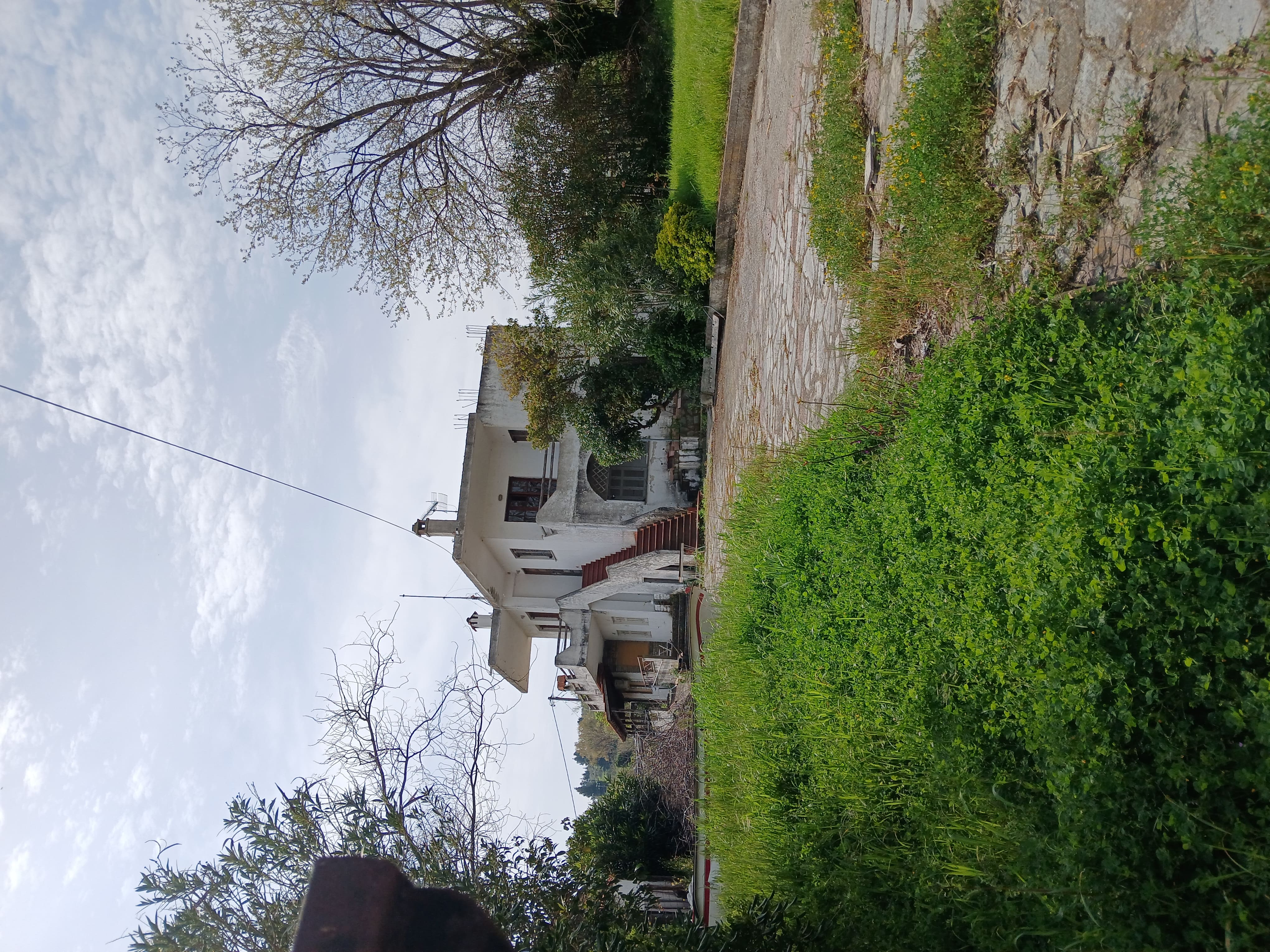 photo2