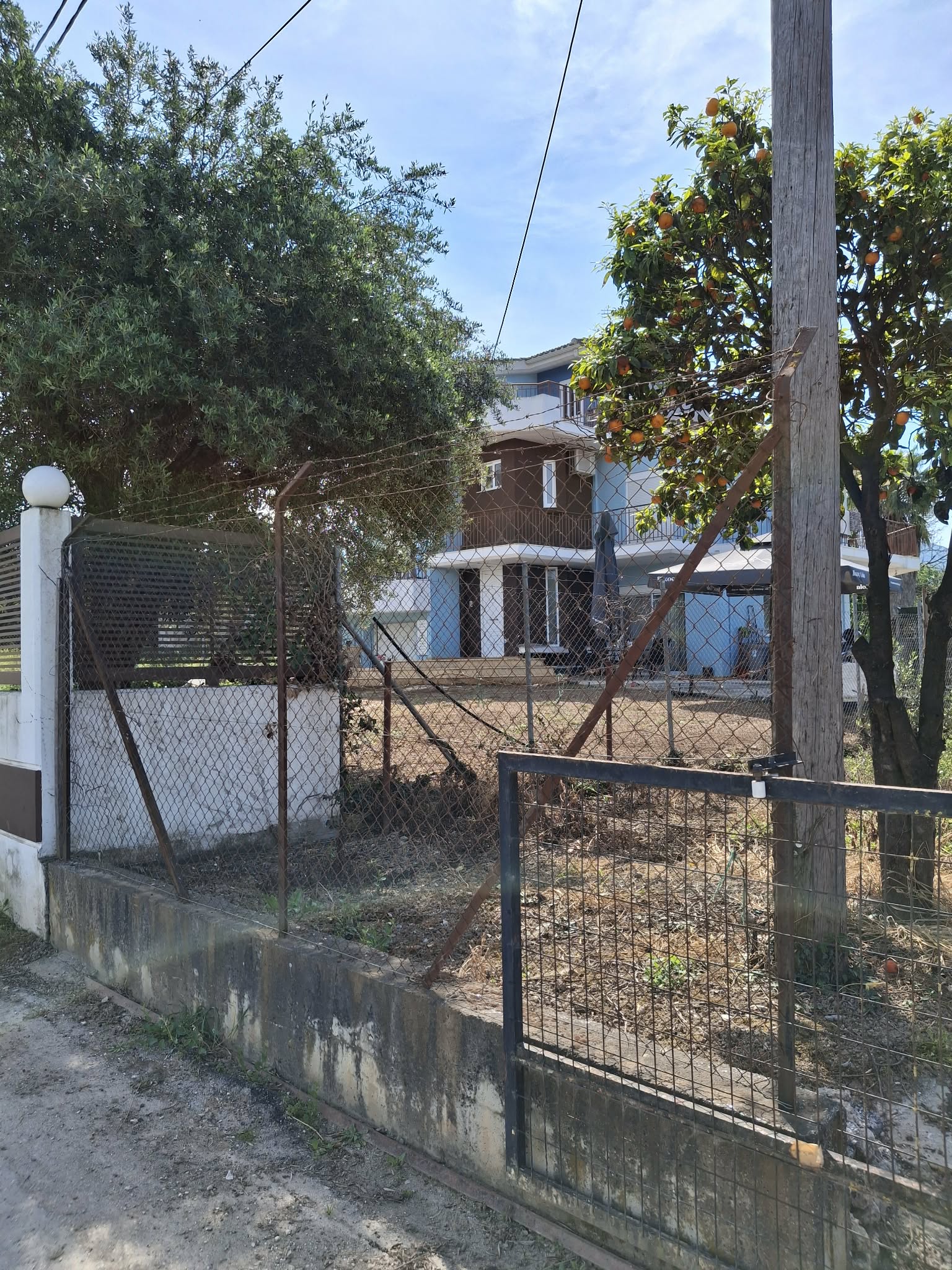 photo1