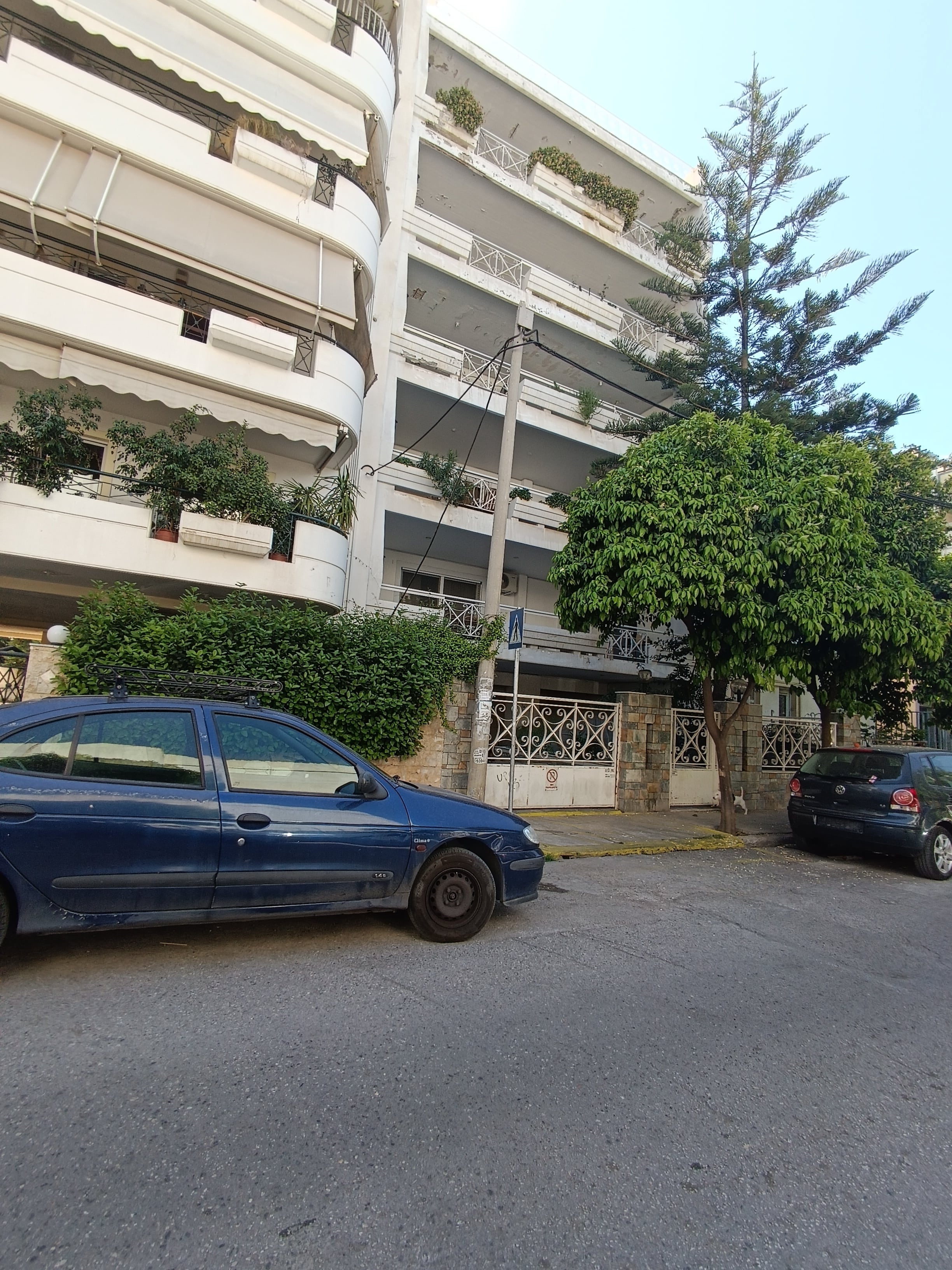 photo1
