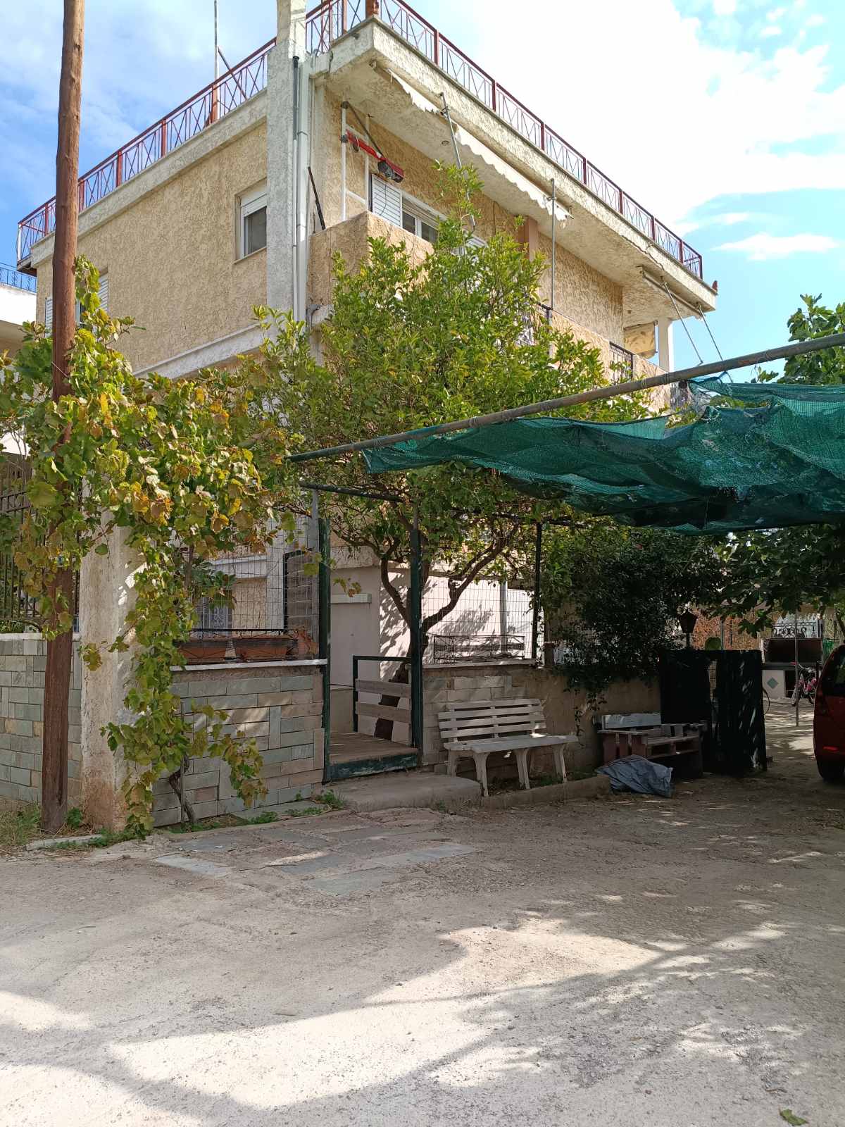 photo1