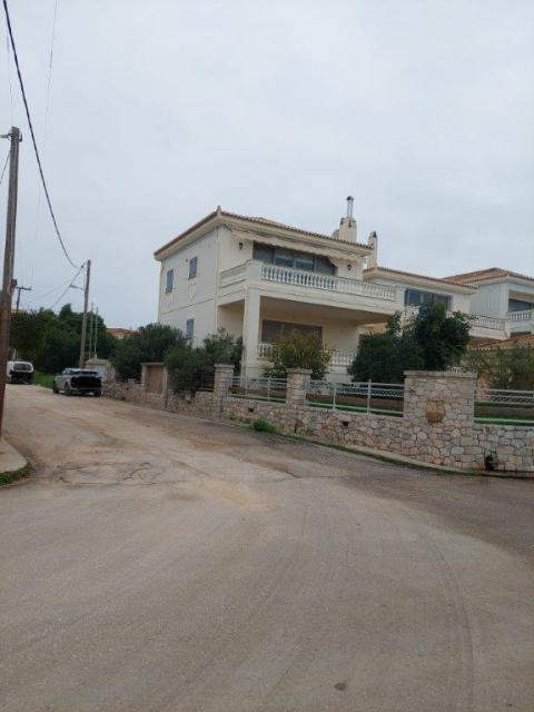 photo1