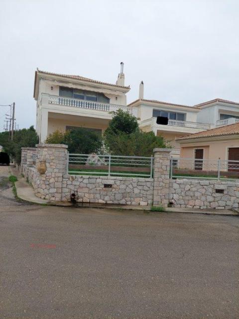 photo2