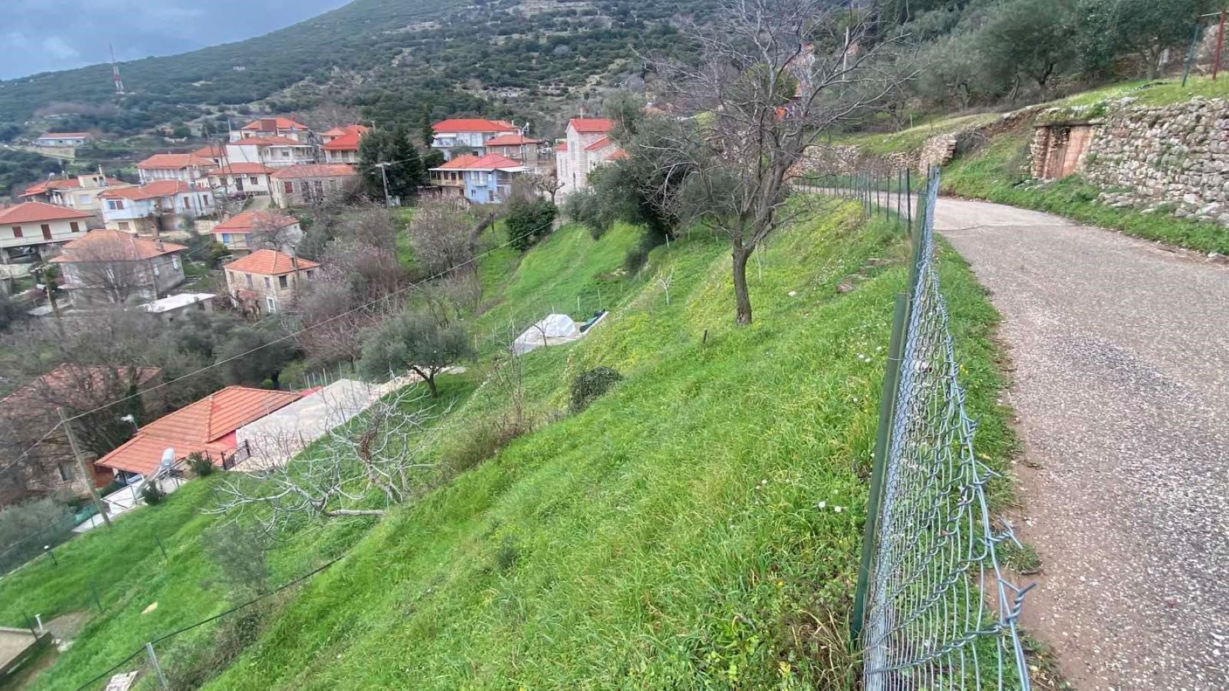 photo1
