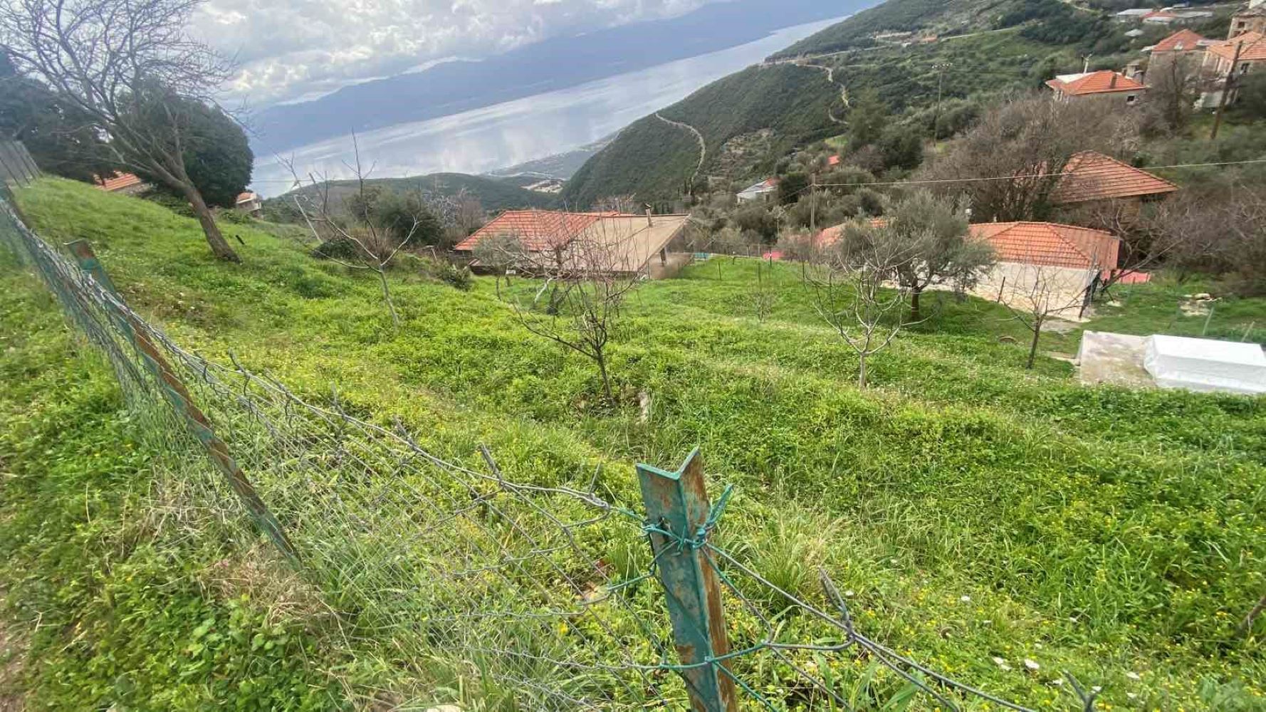 Οικόπεδο  σε πλειστηριασμό Δήμος Αγρινίου