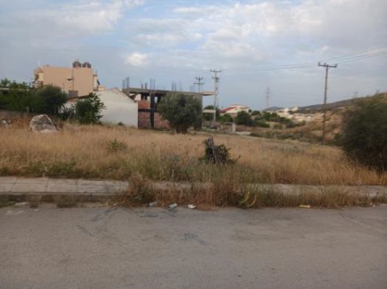 photo4