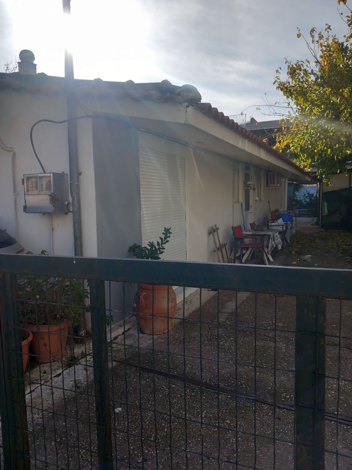 photo1