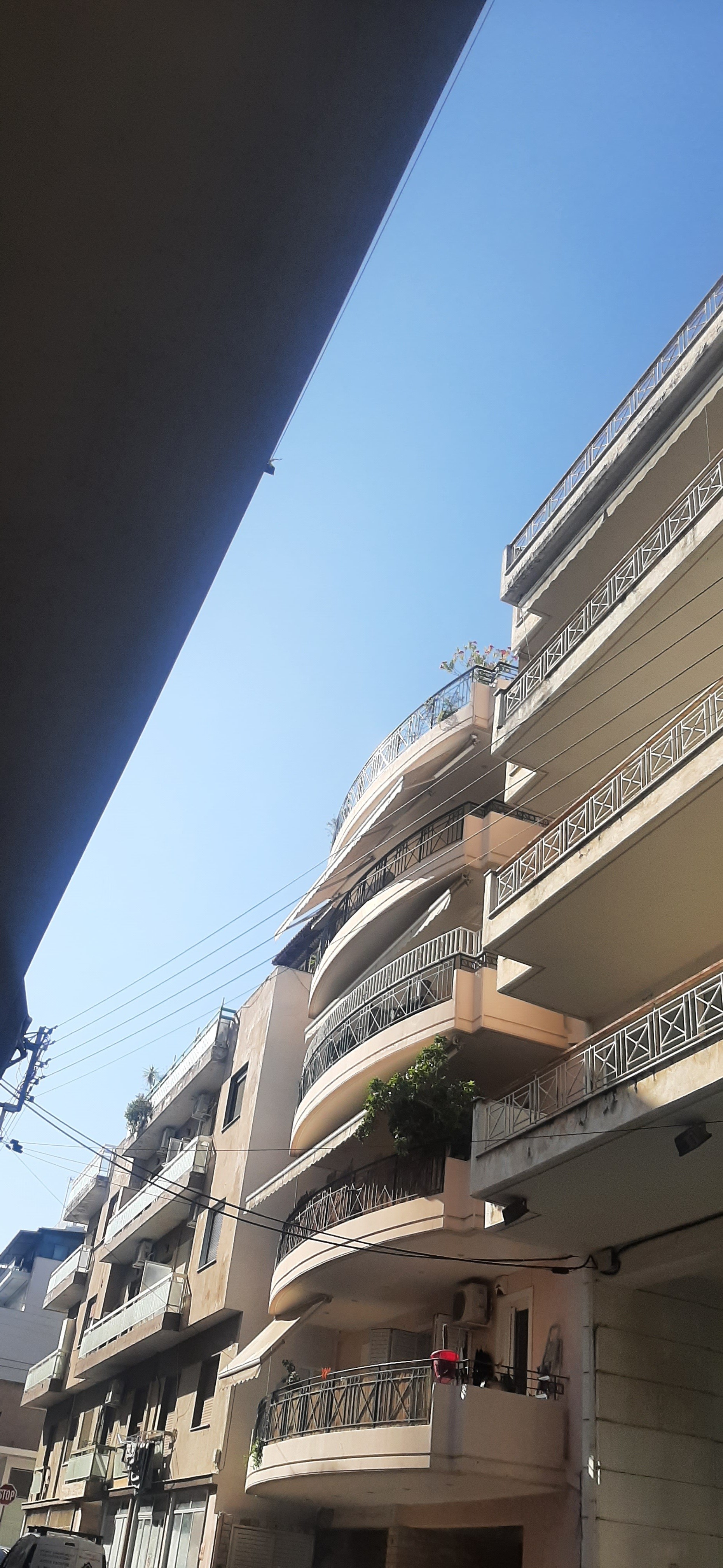 photo1