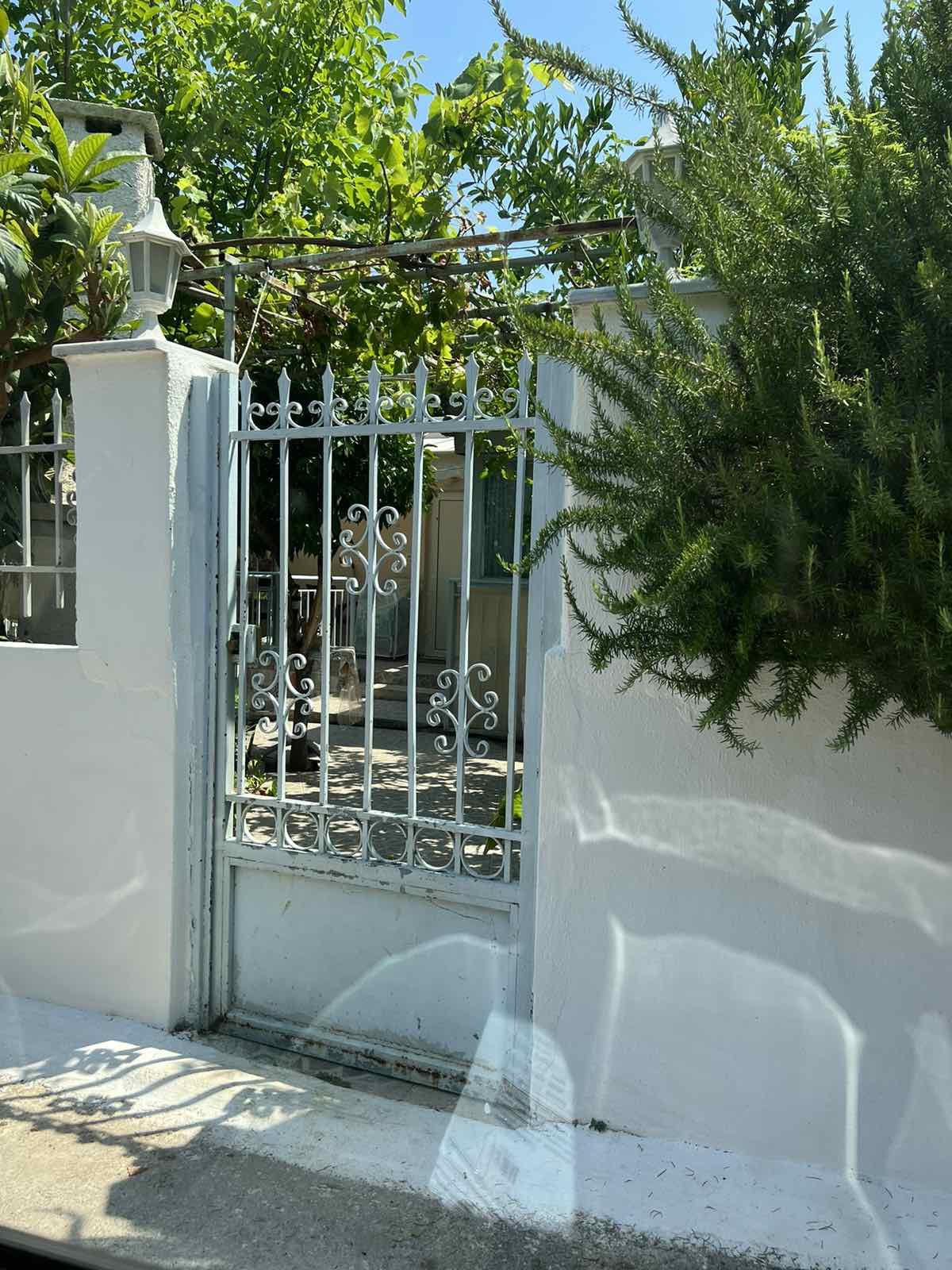 photo1