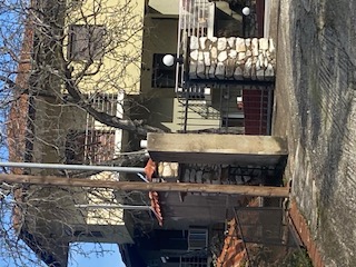 photo1