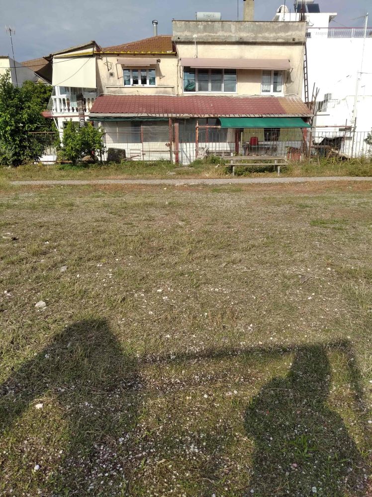 photo2