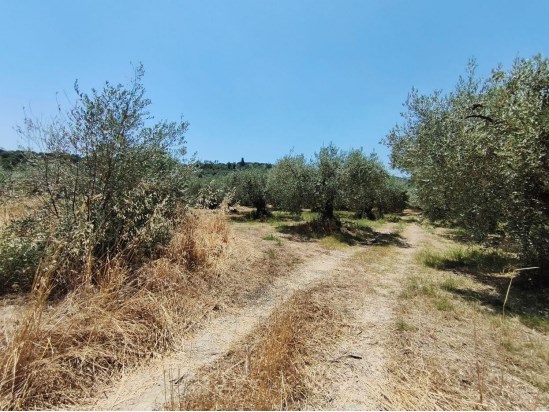 photo0