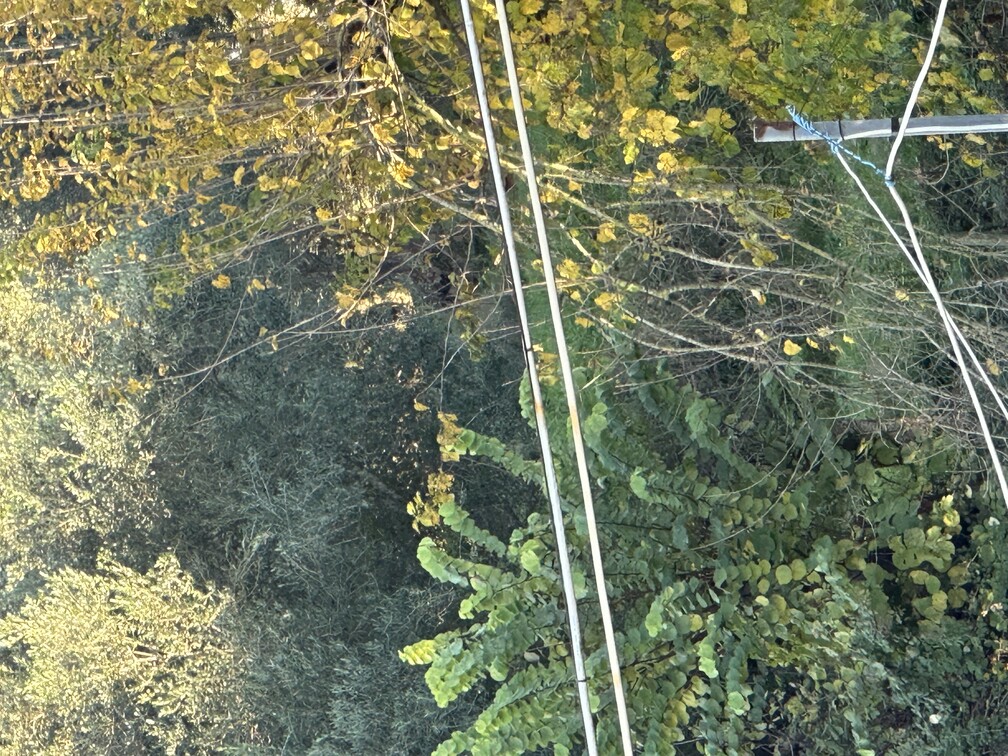 photo2
