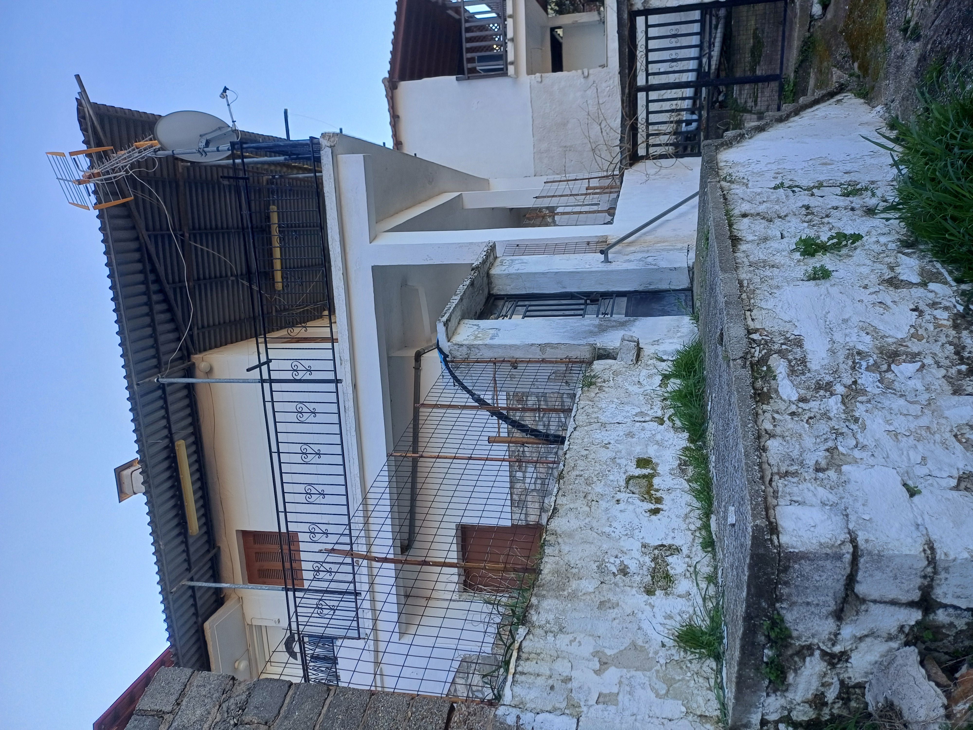photo1