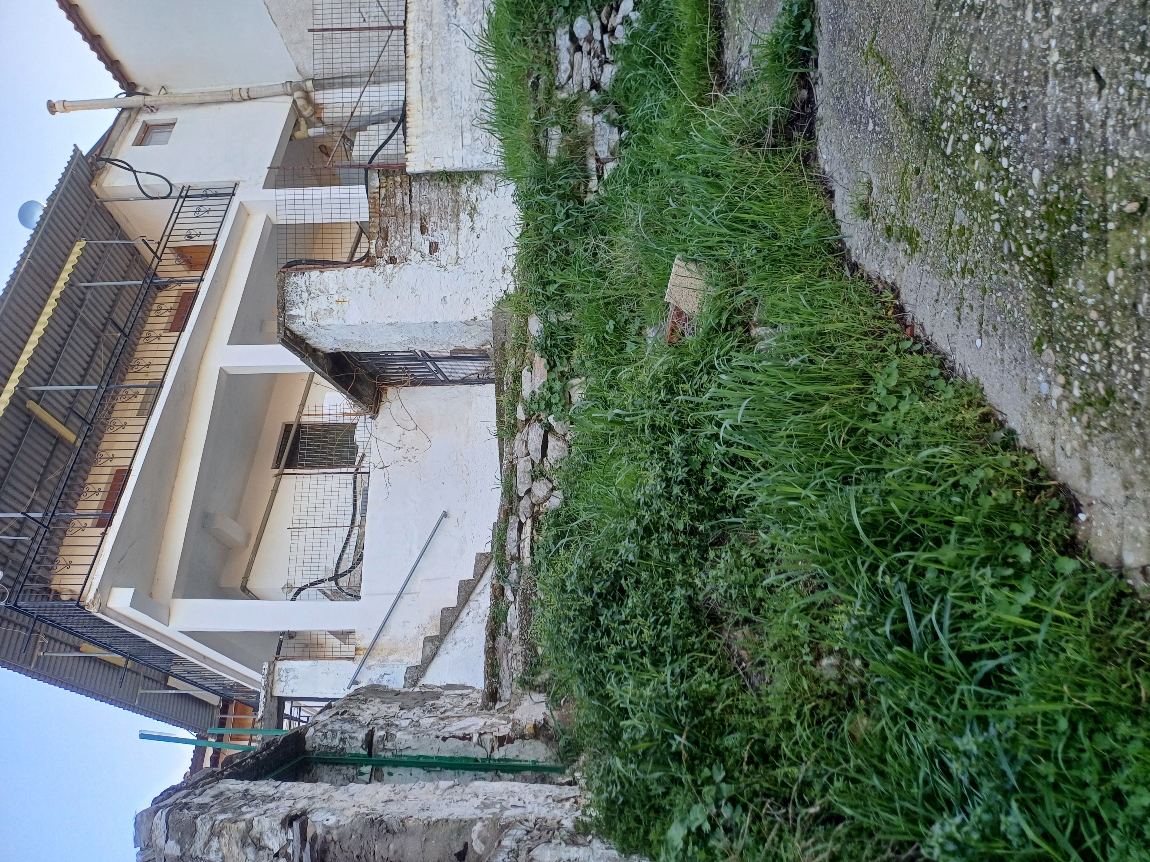 photo3