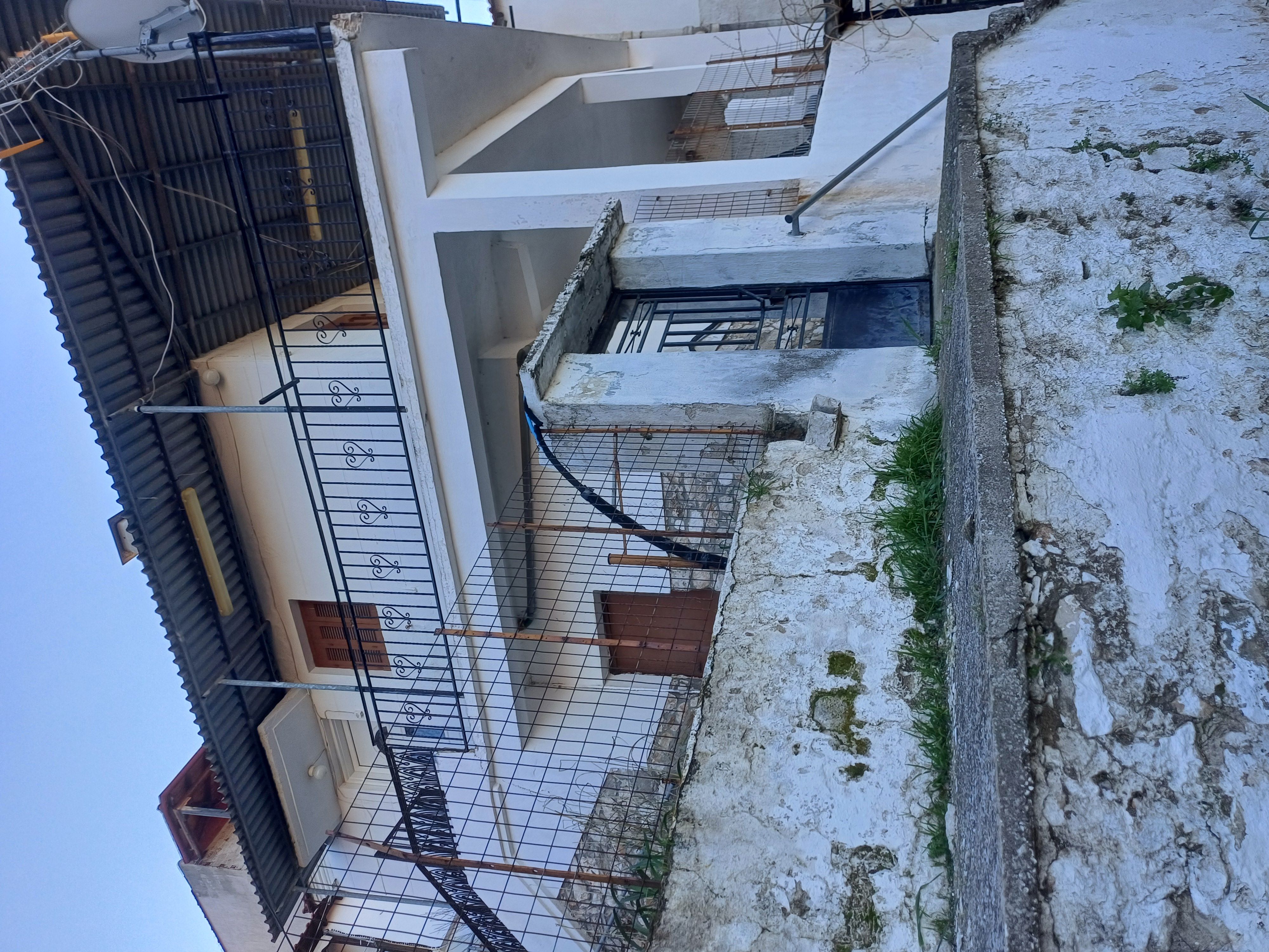 photo4