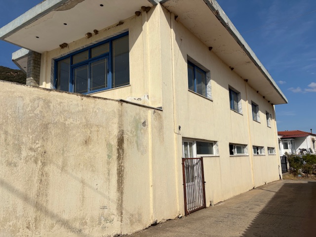 photo2