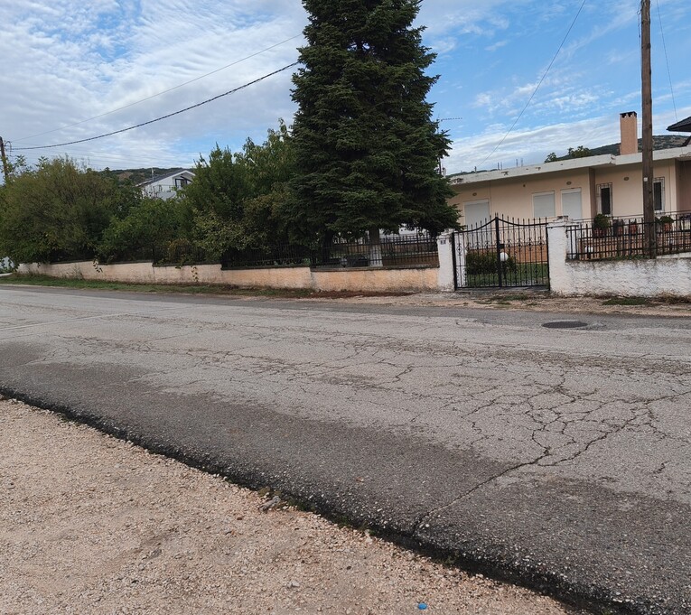 photo1
