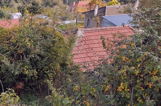 photo1