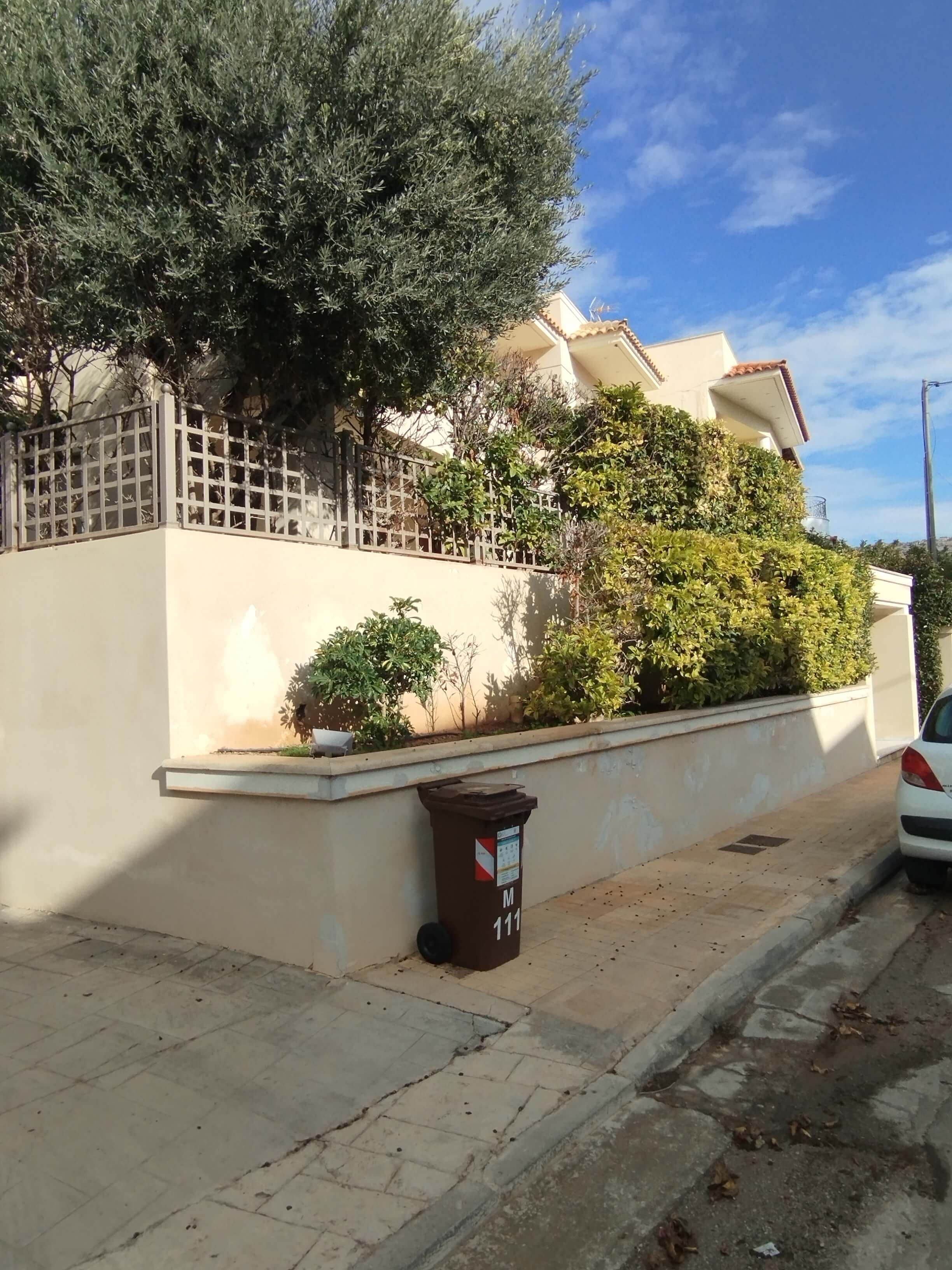 photo1