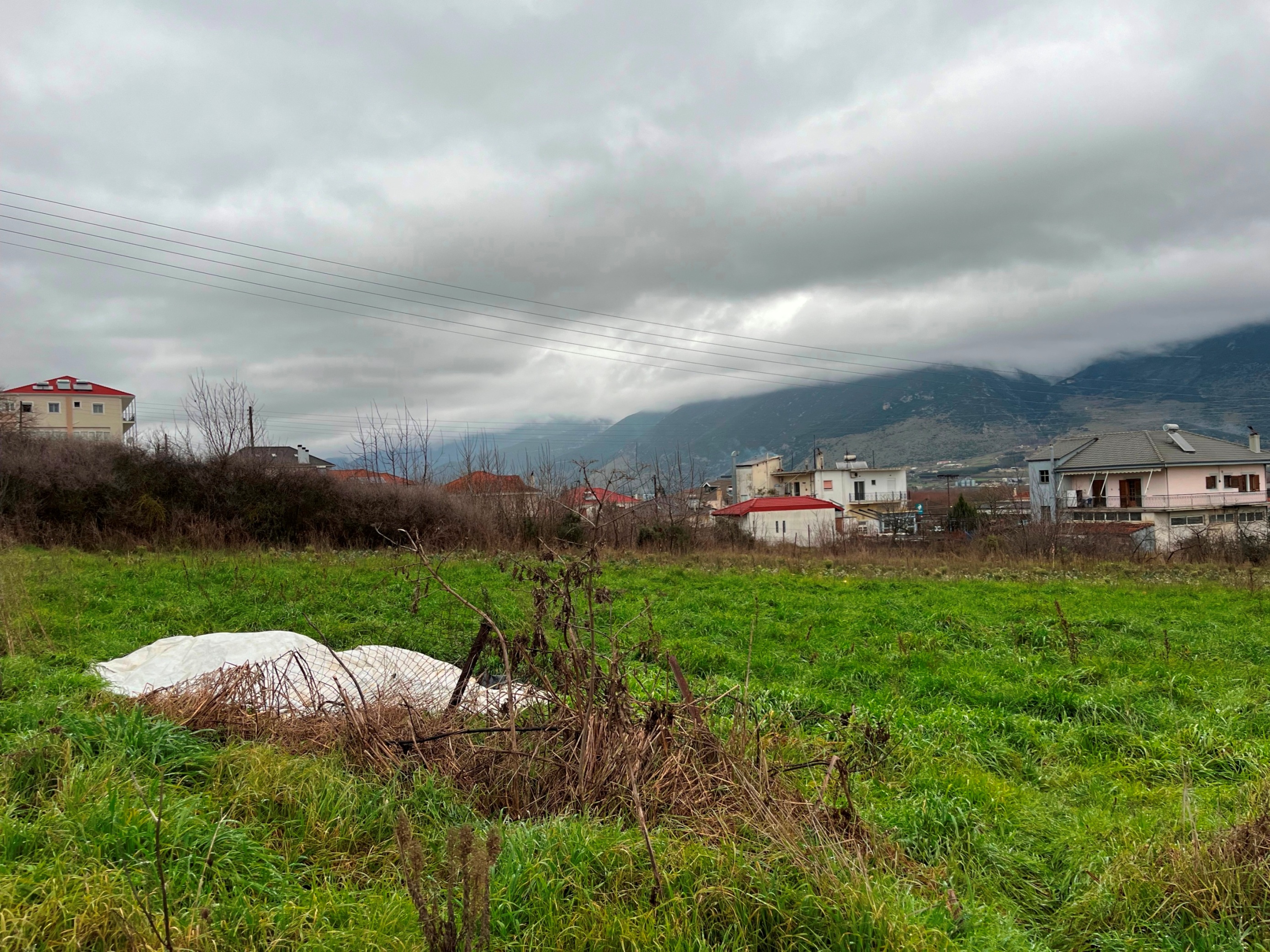 Οικόπεδο  σε πλειστηριασμό Δήμος Ζίτσας
