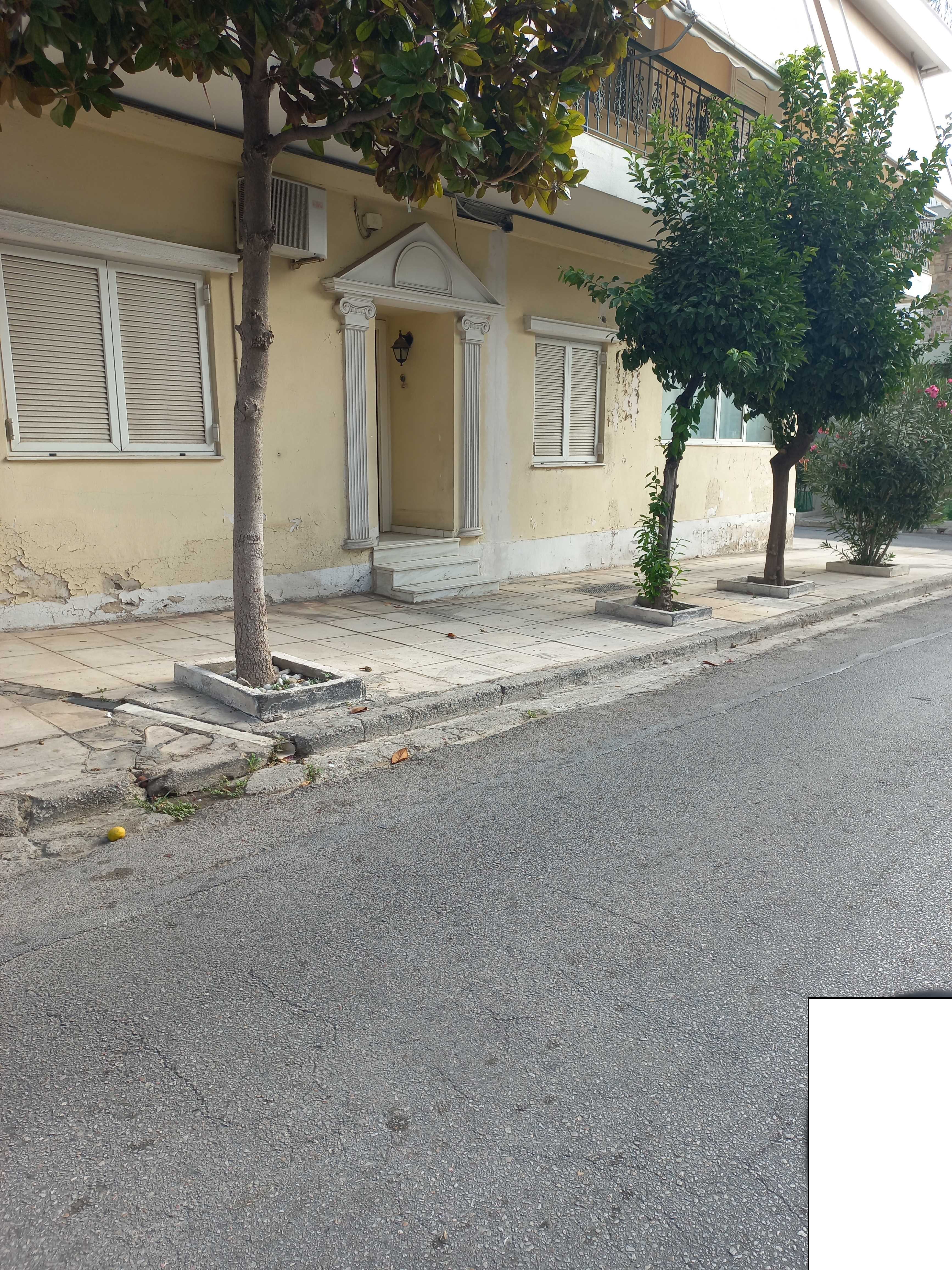 photo1