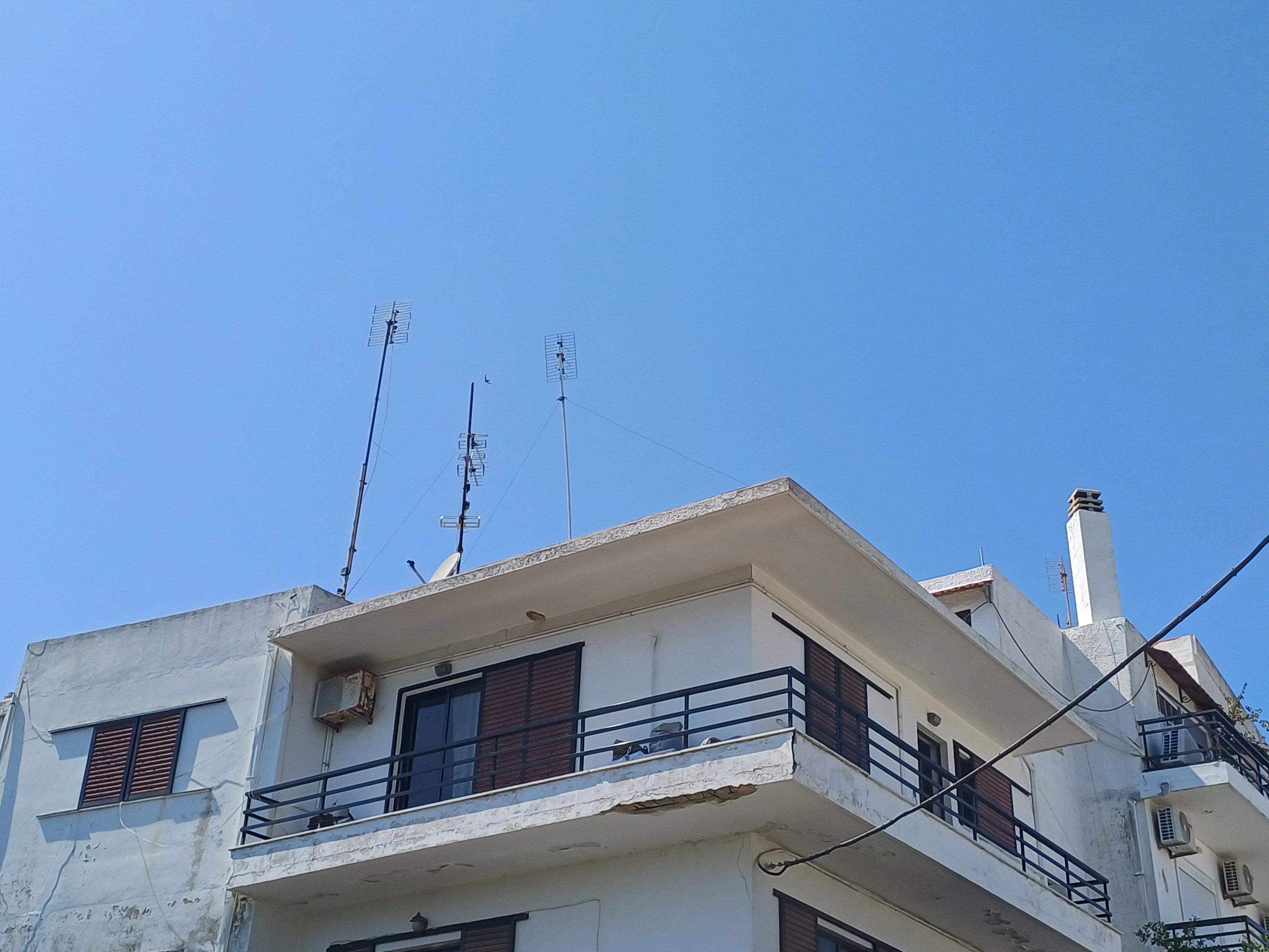 photo1