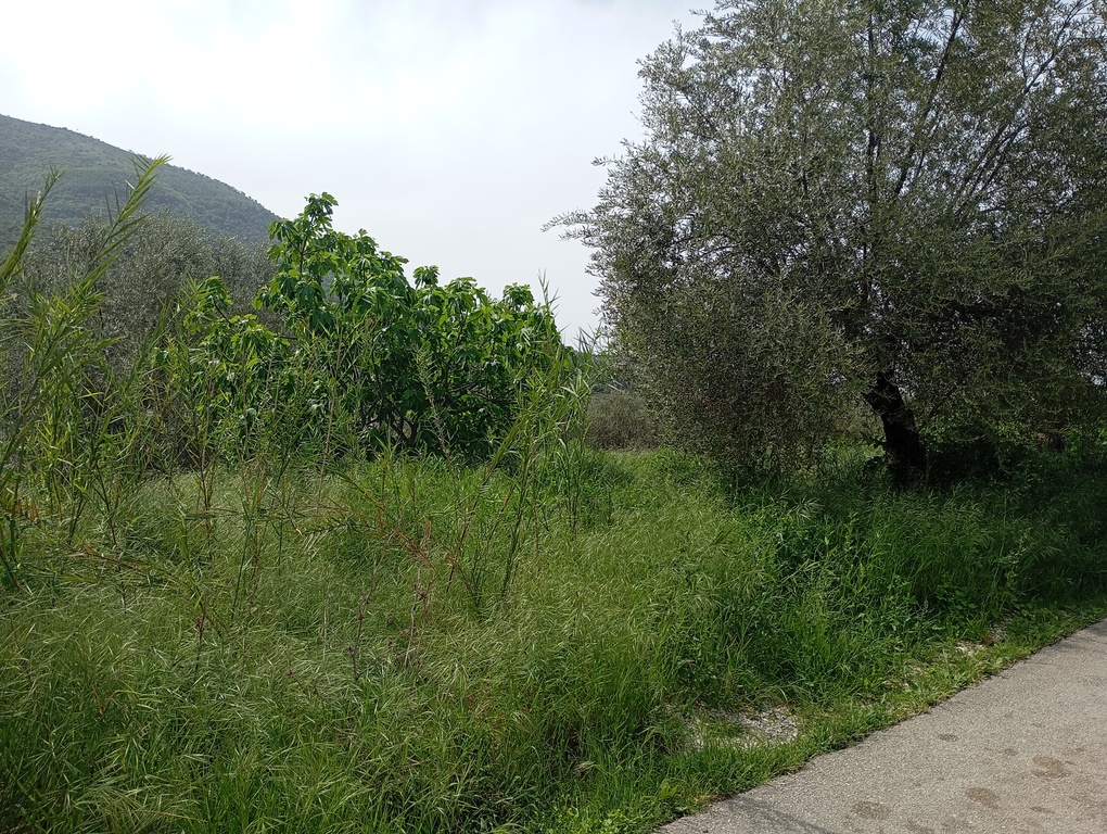 Οικόπεδο  σε πλειστηριασμό Δήμος Ηγουμενίτσας