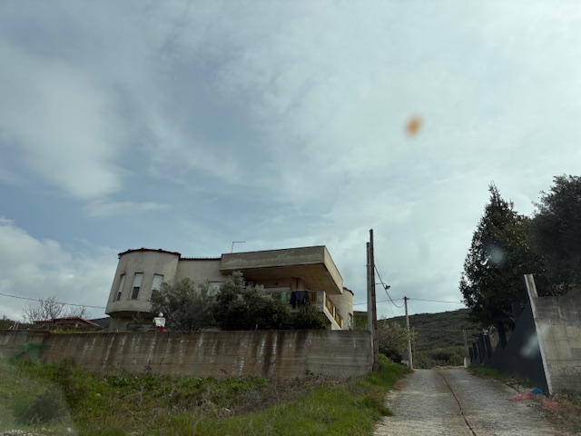 photo1
