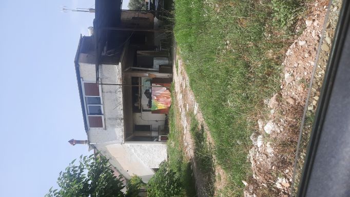 photo2