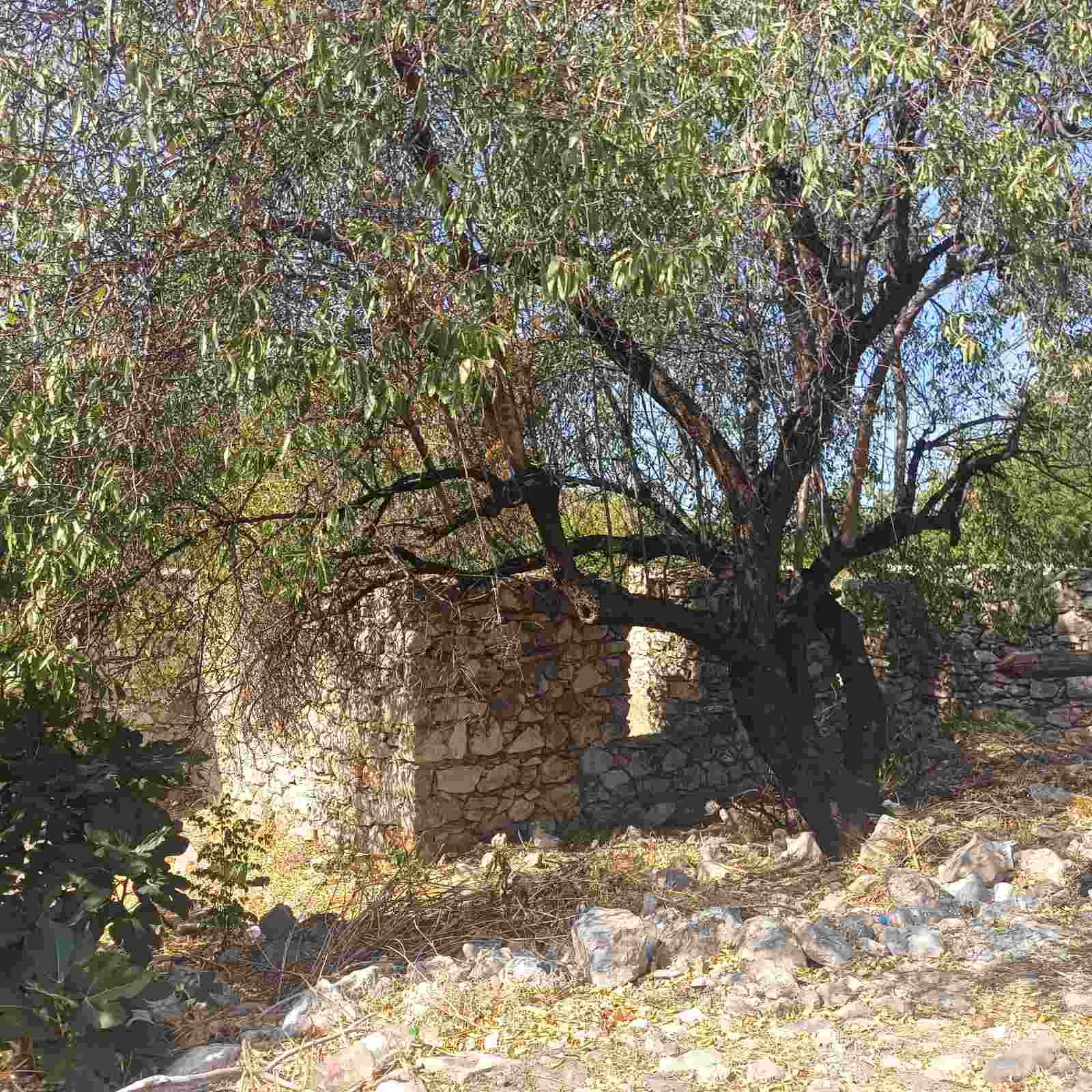 photo14