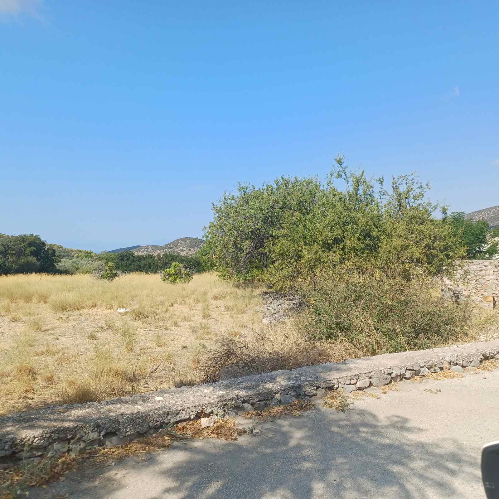 Αγροτεμάχιο 144 τ.μ. σε πλειστηριασμό Δήμος Ερμιονίδας