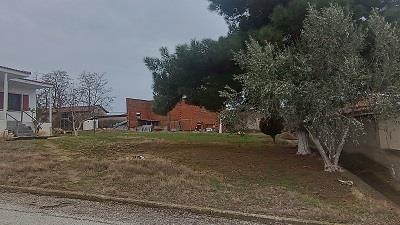 photo1