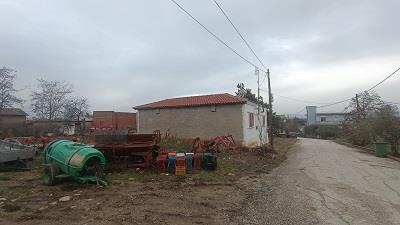 photo4