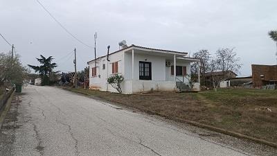 photo6