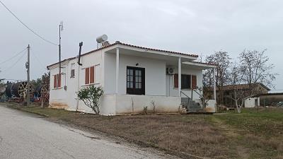 photo7