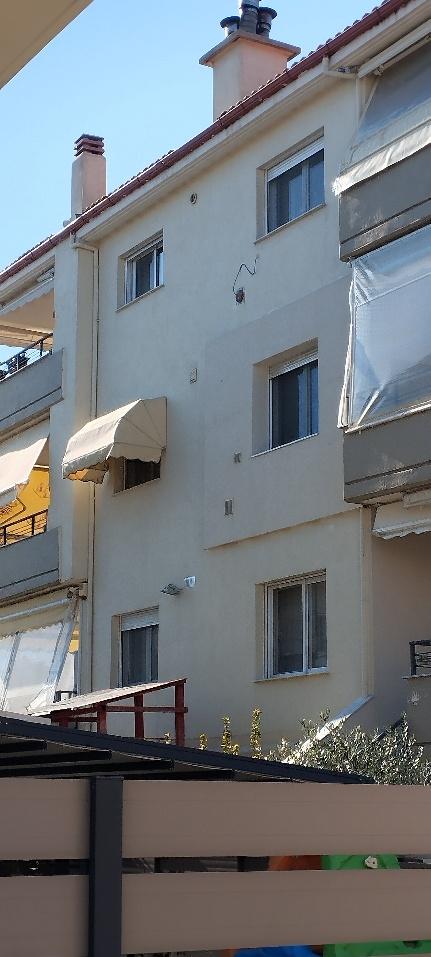 photo2
