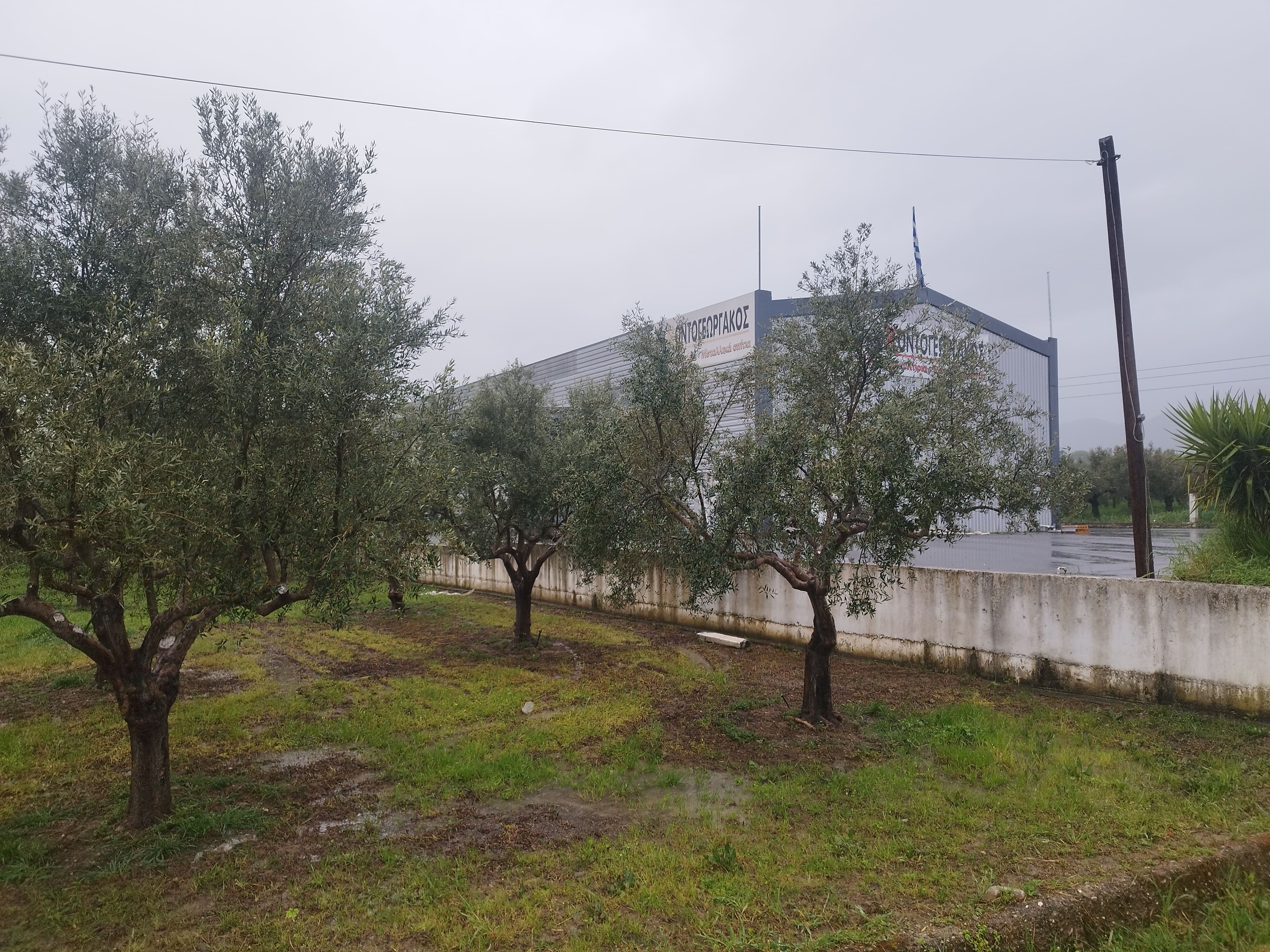 Βιομηχανικός / Βιοτεχνικός Χώρος  σε πλειστηριασμό Δήμος Σπάρτης