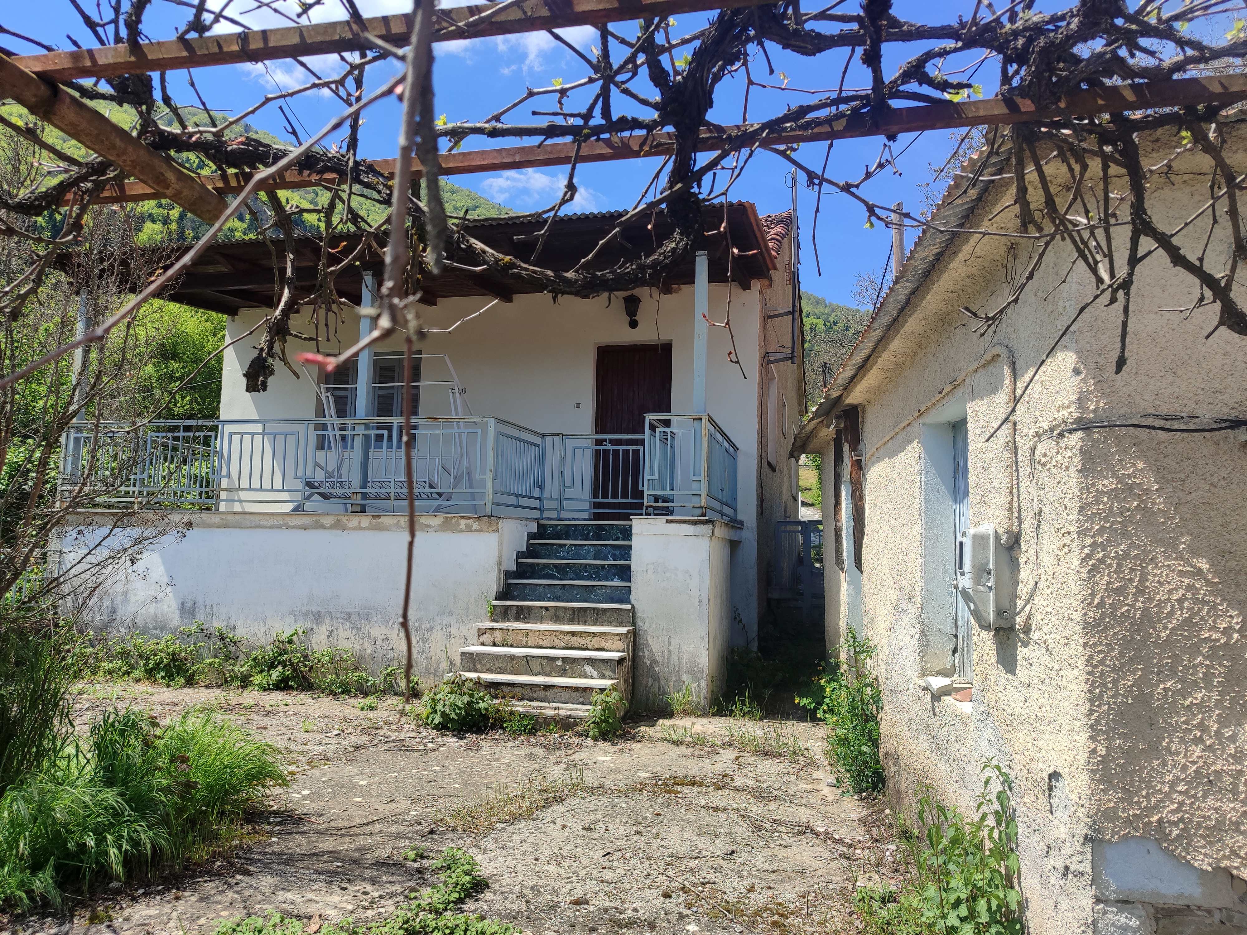 photo1