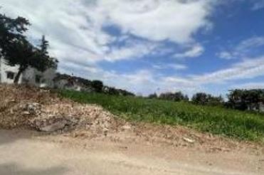 photo1