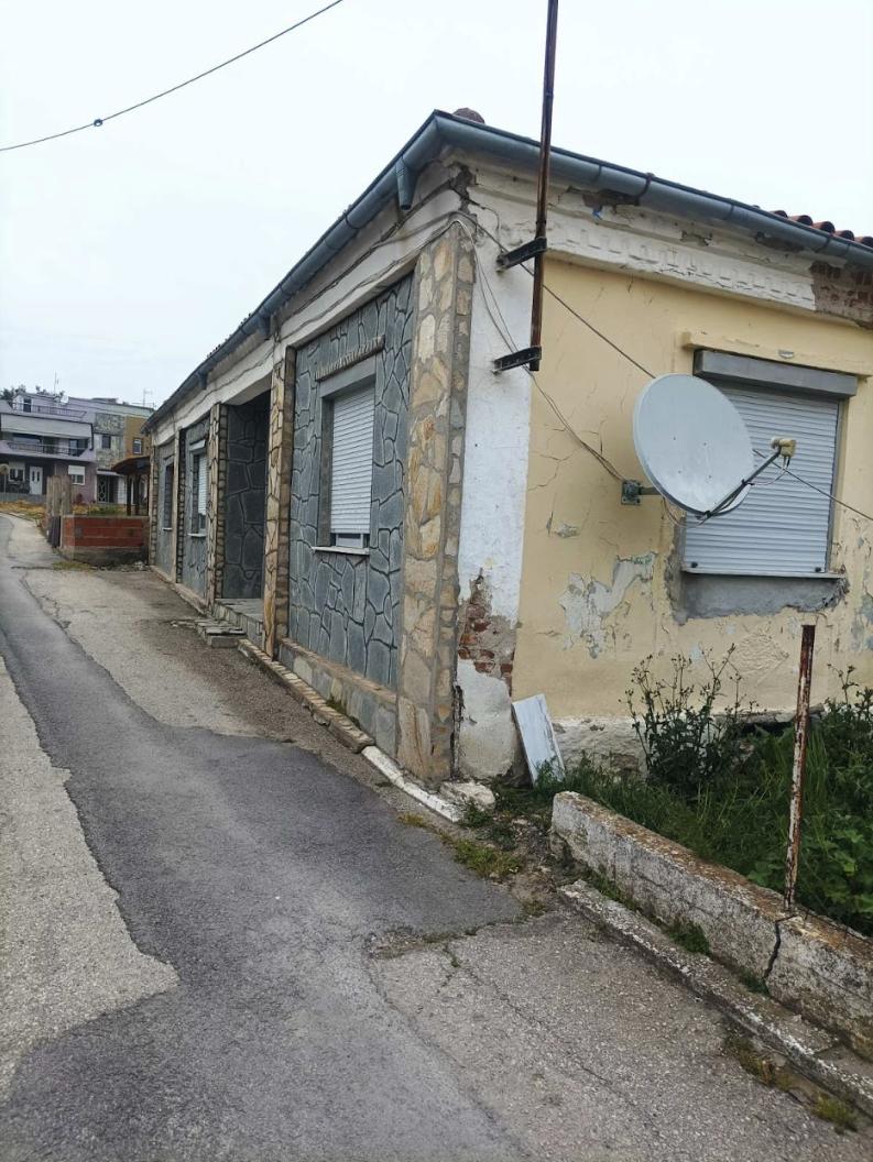 photo1