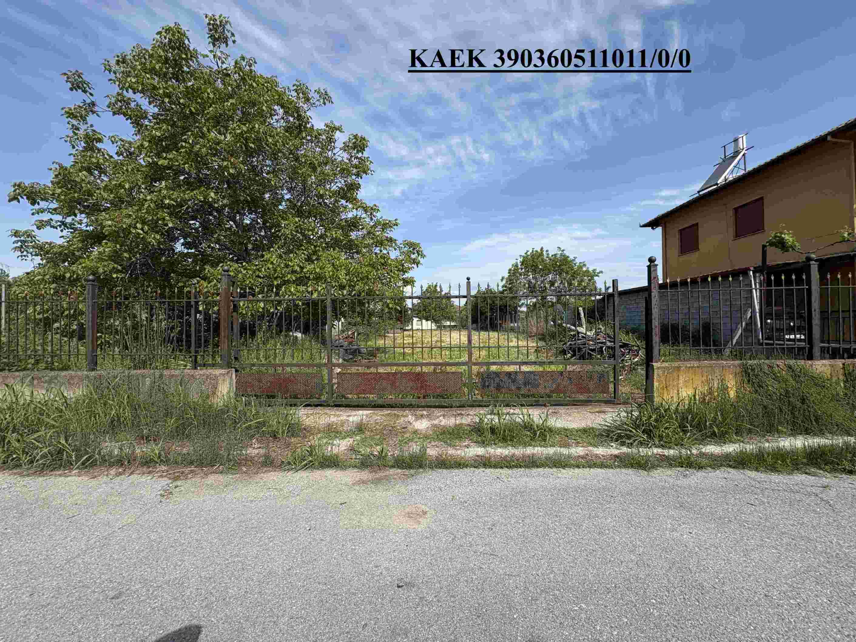 photo3