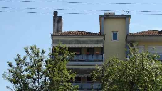 photo5