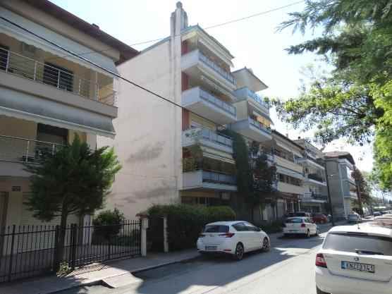 photo7