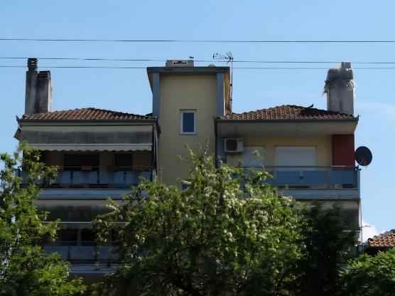 Κατοικία  σε πλειστηριασμό Δήμος Κατερίνης