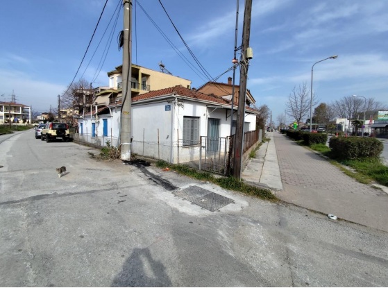 photo1