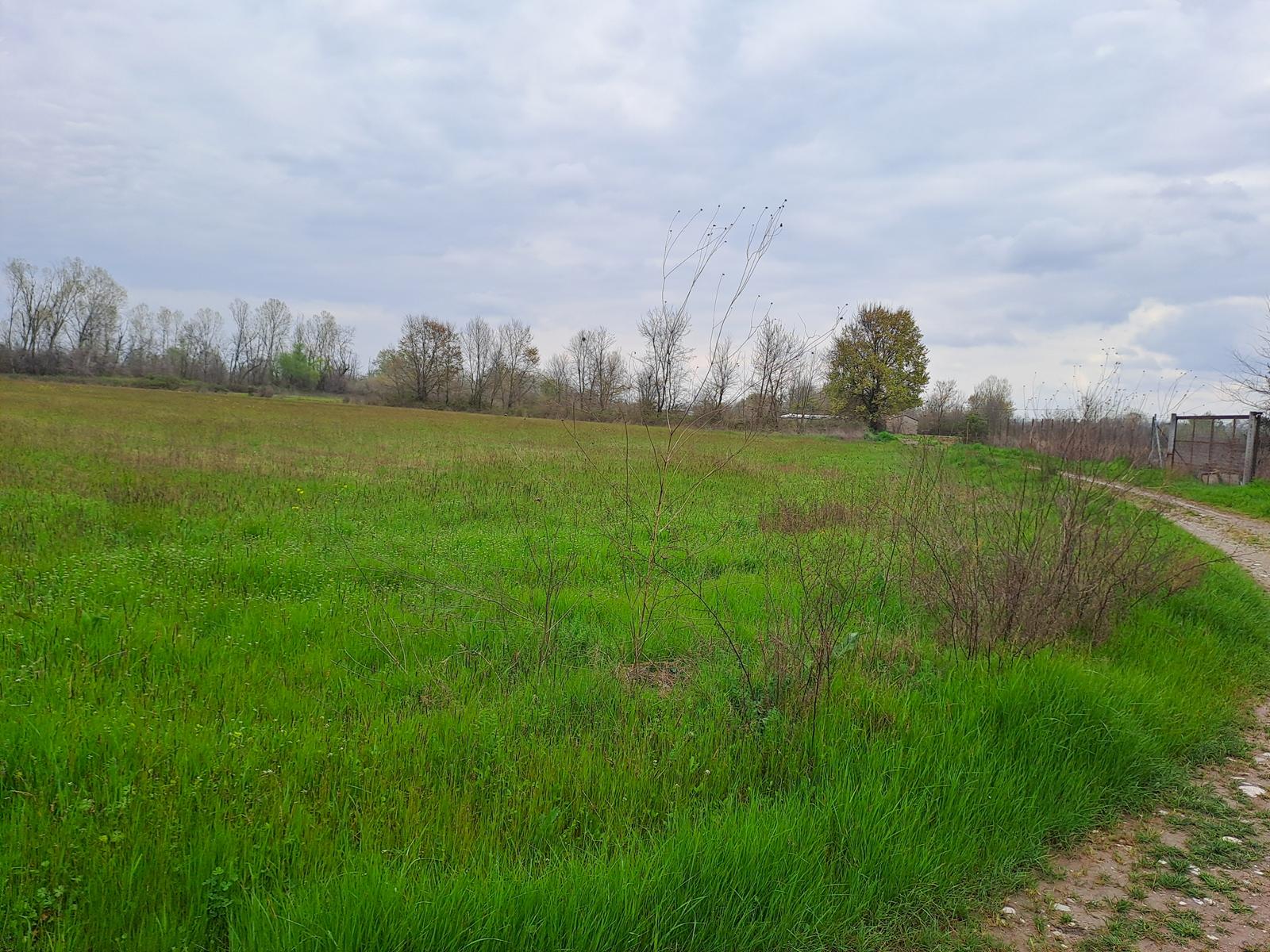photo1